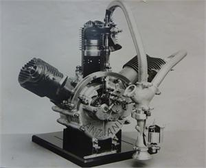 Anzani 25 Hp radial engine