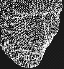 Face mesh